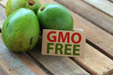 gmo conceptの写真素材