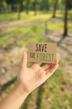 Hand holding a paper card with save the forest word on abstract nature backgroundの写真素材