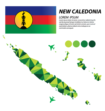 New Caledonia geometric concept designのイラスト素材