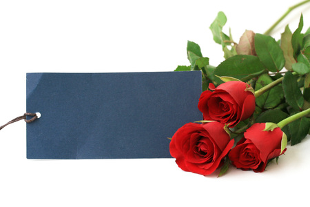 Red rose and empty tag for your textの写真素材
