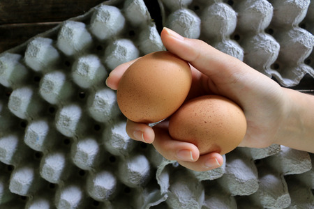 Eggs and cartonの写真素材