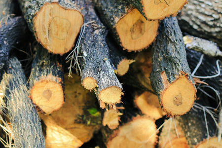 stack of wood