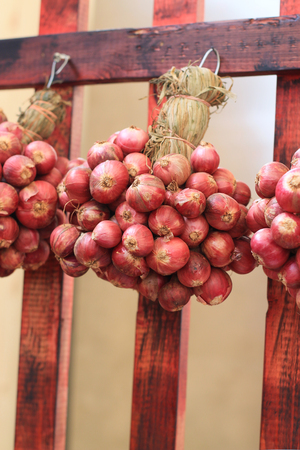red onionの写真素材