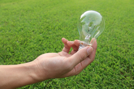 Energy saving concept. Hand holding light bulb on green grass background.の写真素材