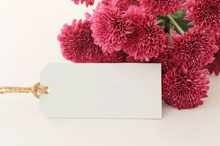 Fresh pink flowers and empty tag for your text on white background