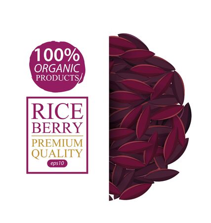 Rice berry. Vector illustration.のイラスト素材