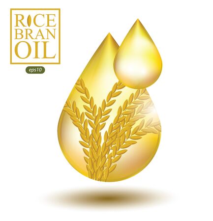 Rice bran oil. Vector illustration.のイラスト素材