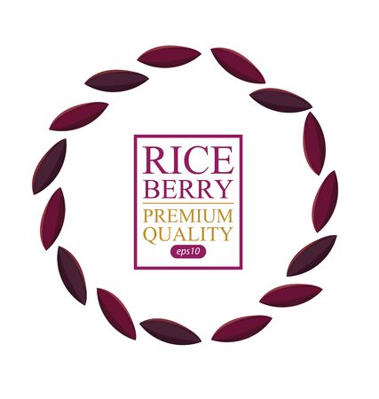 Rice berry. Vector illustration.のイラスト素材