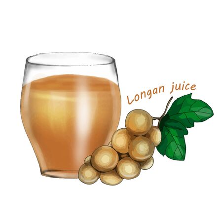 Fresh Longan fruit juice in a glass isolated on white background. vector illustration.のイラスト素材