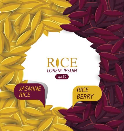 Jasmine rice, Rice berry, Rice grains vector illustration.のイラスト素材