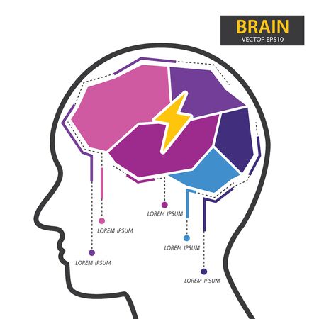 Infographics vector brain design. vector illustration.のイラスト素材