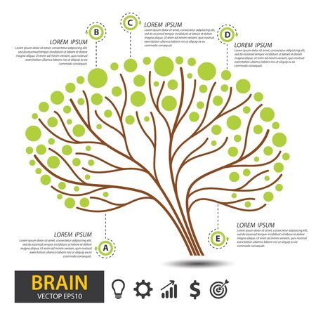 Brain tree design. infographic template for presentation. vector illustration.のイラスト素材
