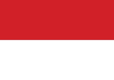 Flag of Indonesia vector illustrationのイラスト素材