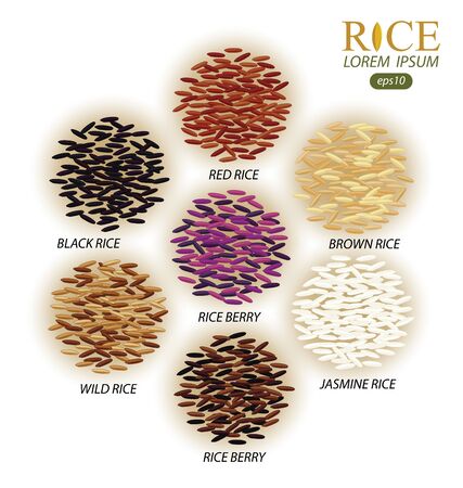 Rice grains isolated on white background. Vector illustration.のイラスト素材
