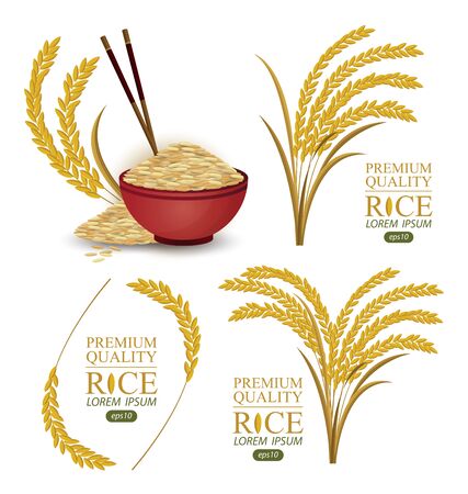 Rice. Vector illustration.のイラスト素材