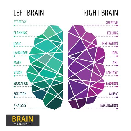 Left and right human brain concept. Infographics brain design. Polygonal art style. Modern geometric...