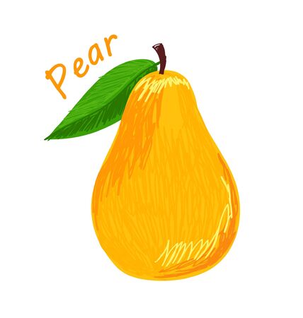 Pear, fruit doodle drawings vector illustrationのイラスト素材