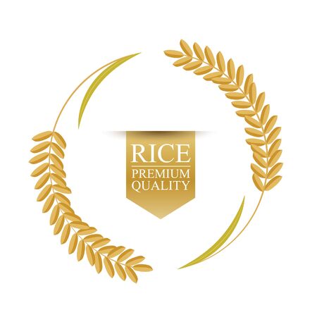 Rice on a white background. vector illustration.のイラスト素材