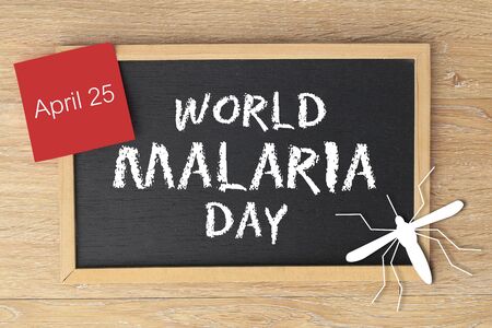 World Malaria Dayの写真素材