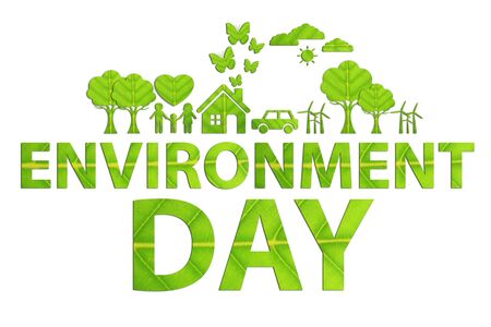 World environment day concept made from green leaves.の写真素材