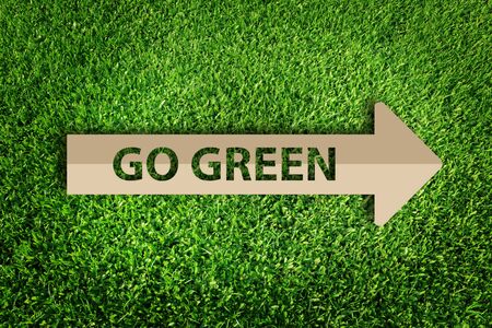Paper cut of eco on green grass