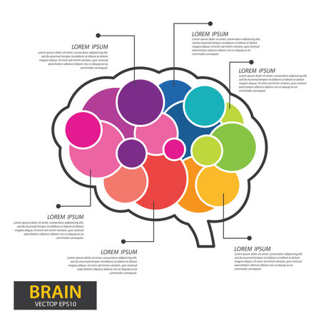 Infographics vector brain design. vector illustration.のイラスト素材