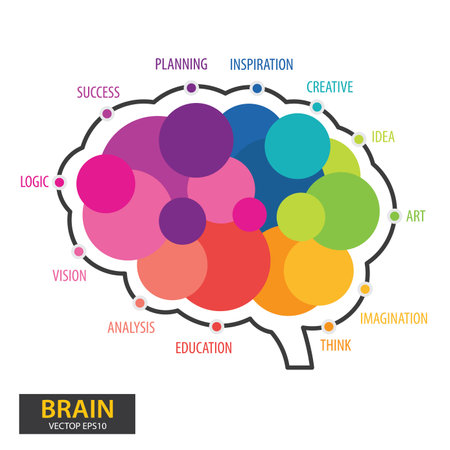 Infographics vector brain design. vector illustration.のイラスト素材
