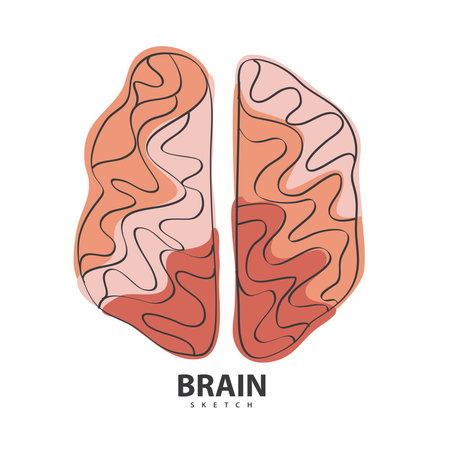 Brain doodle hand drawn vector illustration.のイラスト素材