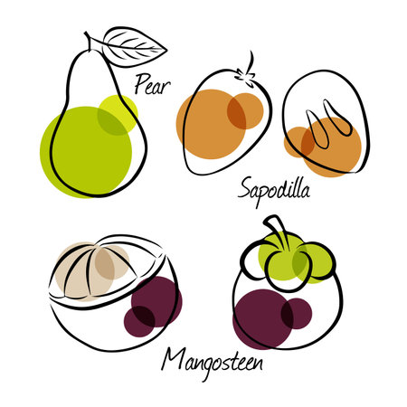 Hand drawn fruits icons set vector illustrationのイラスト素材
