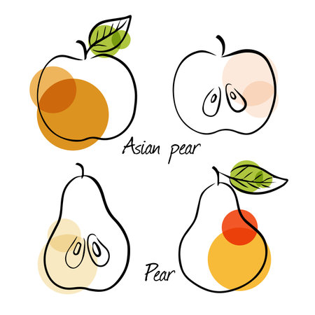 Hand drawn fruits icons set vector illustrationのイラスト素材