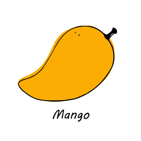 Hand drawn Mango isolated on white background. vector illustration.のイラスト素材