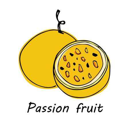 Hand drawn Passion fruit isolated on white background. vector illustration.のイラスト素材