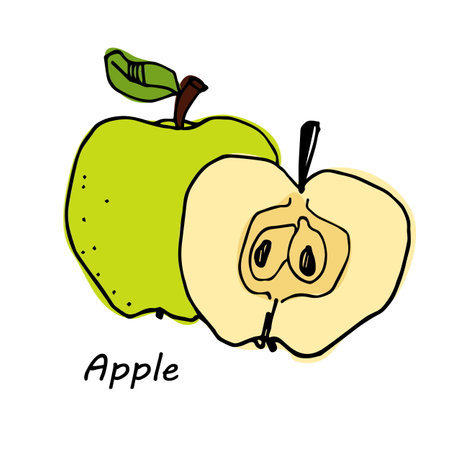 Hand drawn Apple isolated on white background. vector illustration.のイラスト素材