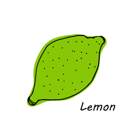 Hand drawn lemon isolated on white background. vector illustration.のイラスト素材