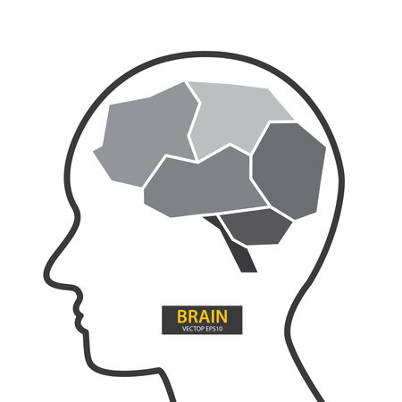 Human brain. Creative Concept. vector illustration.のイラスト素材