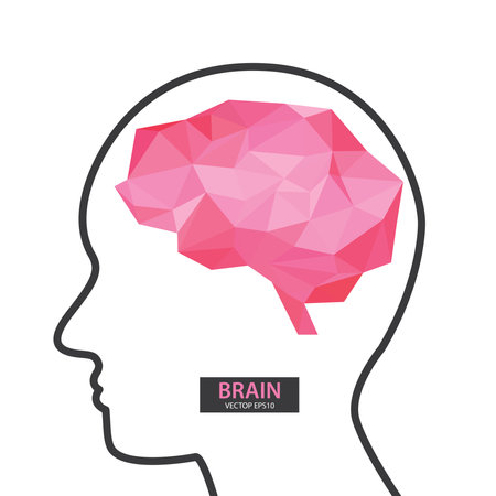 Human brain. Creative Concept. vector illustration.のイラスト素材