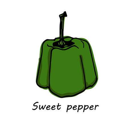 Hand drawn Sweet pepper isolated on white background. vector illustration.のイラスト素材