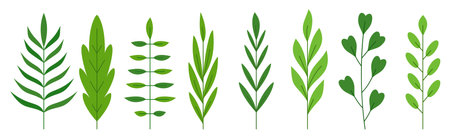 Green branch leaf icon set. Forest plant foliage herbal deciduous tree. Abstract floral spring sprout. Flat eco nature organic leaves of tropical palm tree, rowan, maple, eucalyptus isolated on whiteのイラスト素材