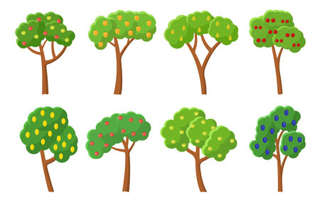 Green orchard fruit trees. Summer harvest ripe cherry apple pear plum lemon peach apricot. Fruit tree green garden flat cartoon set. Natural organic forest park isolated on whiteのイラスト素材