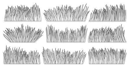 Grass natural organic lawn outline set. Coloring book page summer herb meadow. Eco plant fresh separate bush. Different shape linear herbal turf. Greenery leaves line icon. Foliage landscape borderのイラスト素材