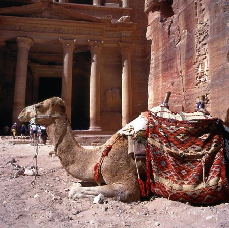 Camel in front of Treasury Petra Jordan.This is an UNESCO World Heritage siteの写真素材