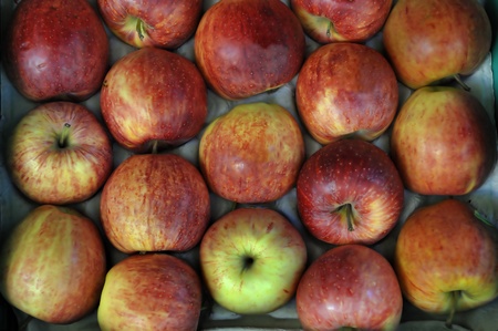 red apples at a farmers market in Franceの写真素材