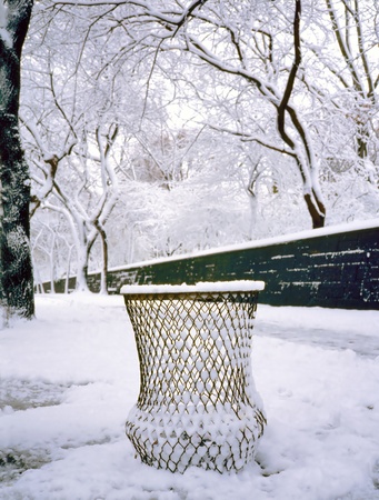 Snow in Central Park, New York City , U.S.A.の写真素材