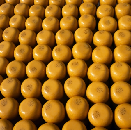 ALKMAAR, HOLLAND, THE NETHERLANDS - SEPTEMBER 3  Edam 40  cheeses at the famous Dutch traditional cheese market September 3, 2010 in Alkmaar, Holland, The Netherlands のeditorial素材