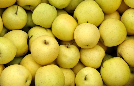yellow apples at the greengrocer on a farmers marketの写真素材