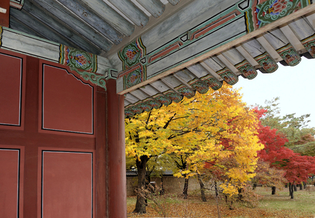 SEOUL, SOUTH KOREA - NOVEMBER 10: Colorful trees in the Changgyeonggung palace. Changgyeonggung is one of the Five Grand Palaces of the Joseon Dynasty and it is an UNESCO World Heritage site,November 10, 2015 Seoul, South Koreaのeditorial素材