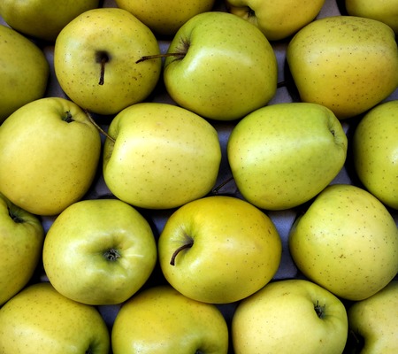 Green Apples at a greengrocer in Franceの写真素材
