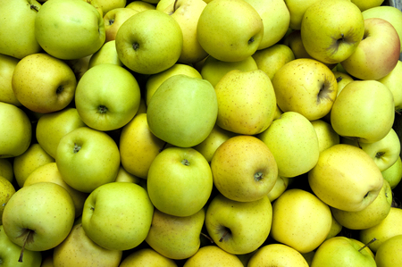 Stack of green apples at a greengrocerの写真素材