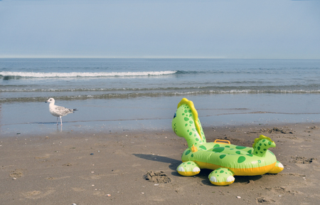 Inflatable floating animal toy and real seagull at the beach. No peopleの写真素材