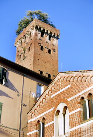 Torre Guinigi and its trees with clear blue sky in Lucca, Italyのeditorial素材